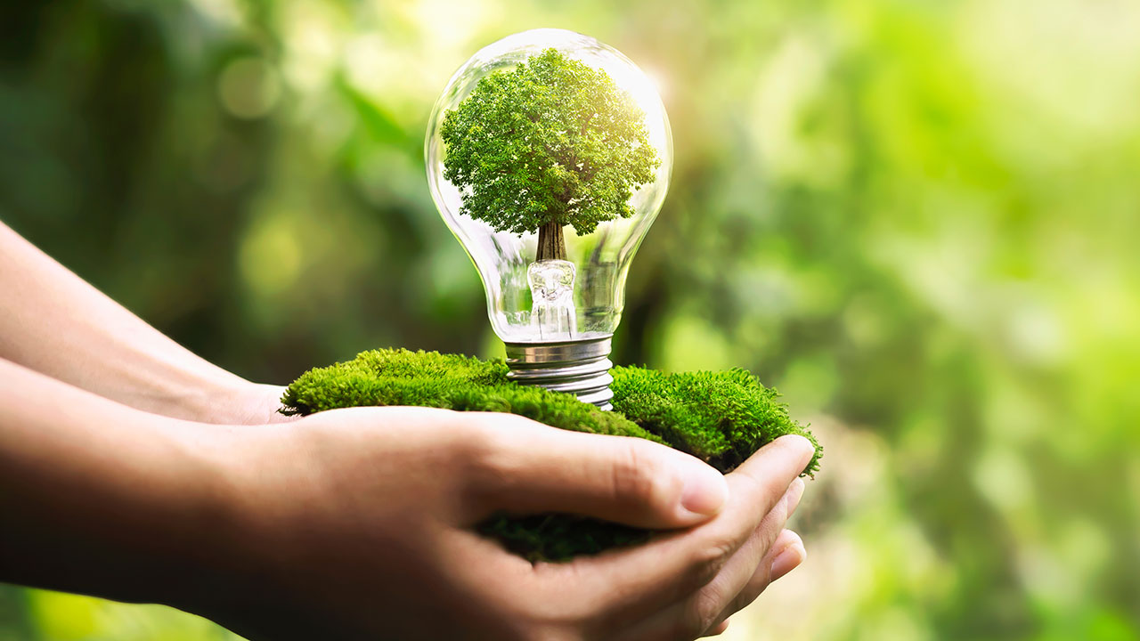 Sustainable Living Made Easy: Using Earth Day to Jumpstart Your Eco-Friendly  Lifestyle