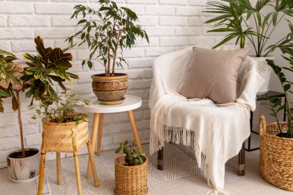 Greening Your Space: Budget-Friendly Eco-Friendly Home Decor Hacks